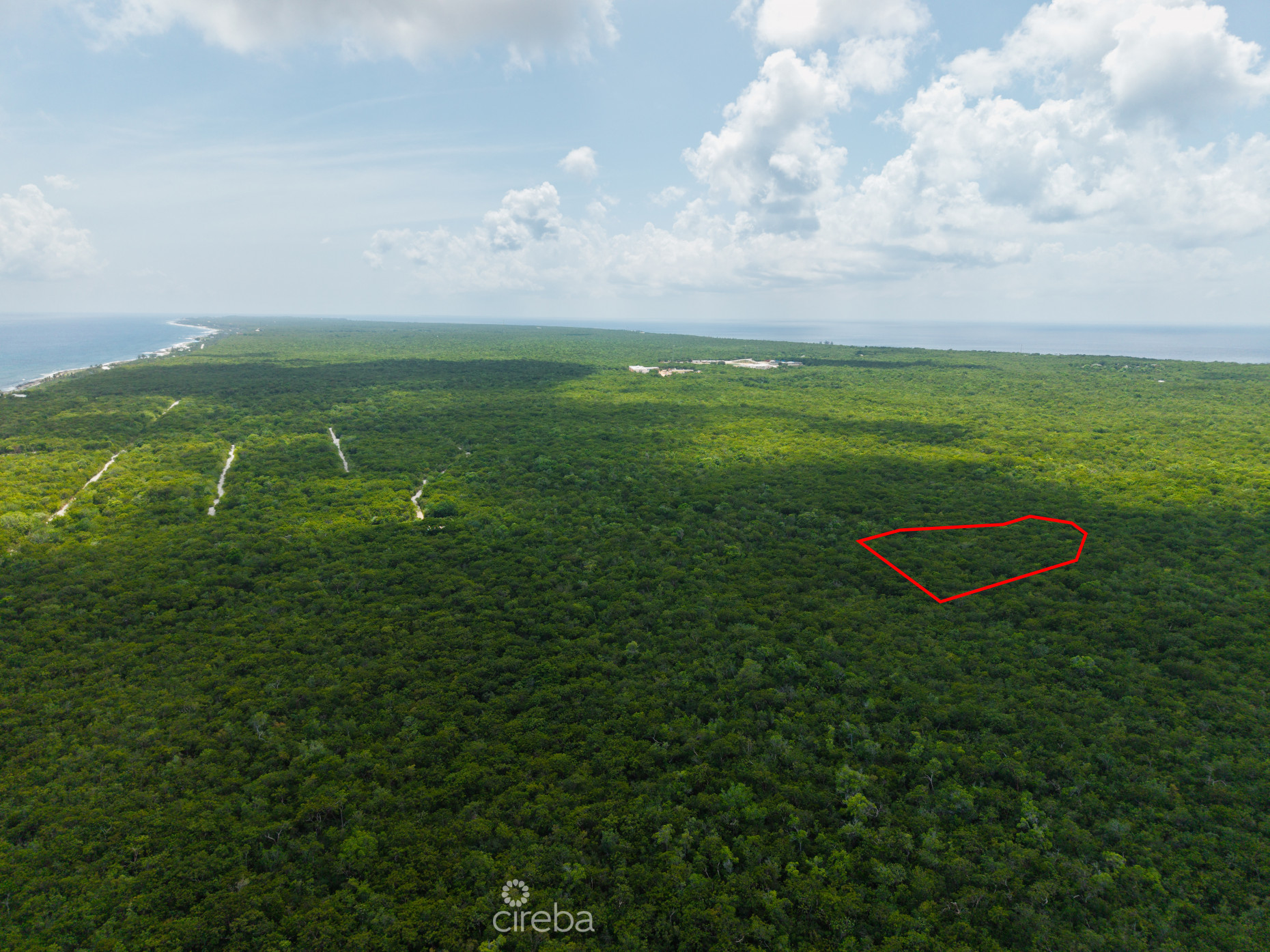 2.5 ACRES - CAYMAN BRAC BLUFF