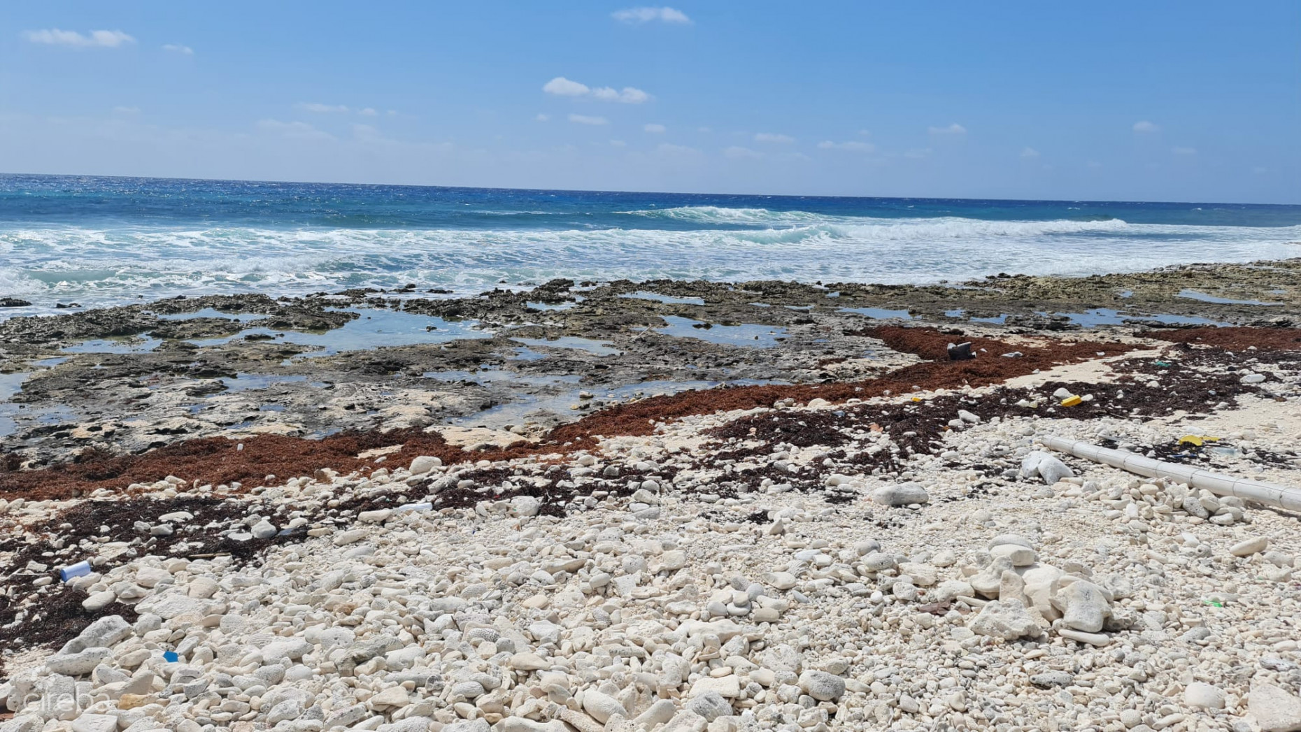 CAYMAN BRAC EAST OCEANFRONT 1.25 ACRES