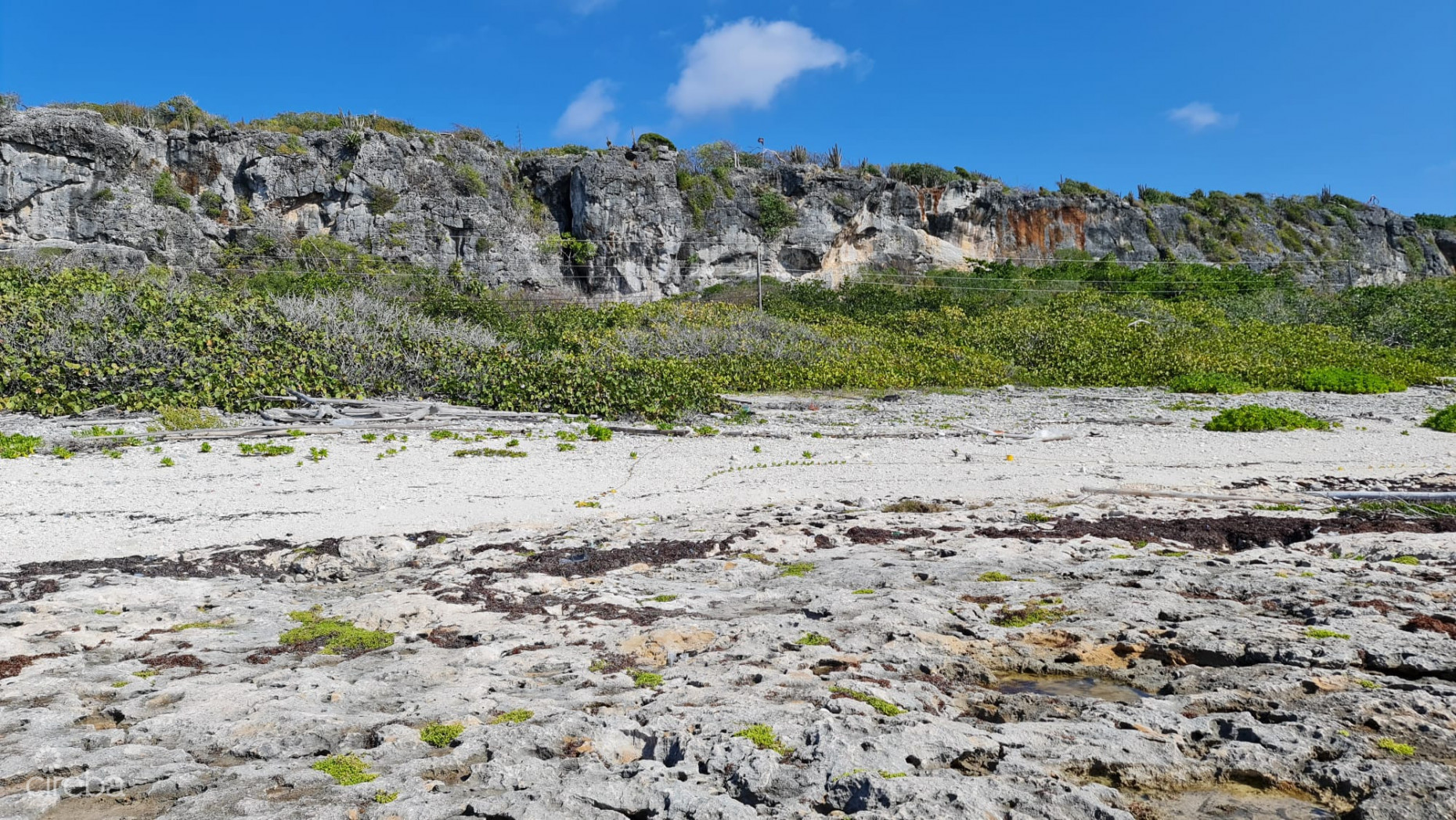 CAYMAN BRAC EAST OCEANFRONT 1.25 ACRES