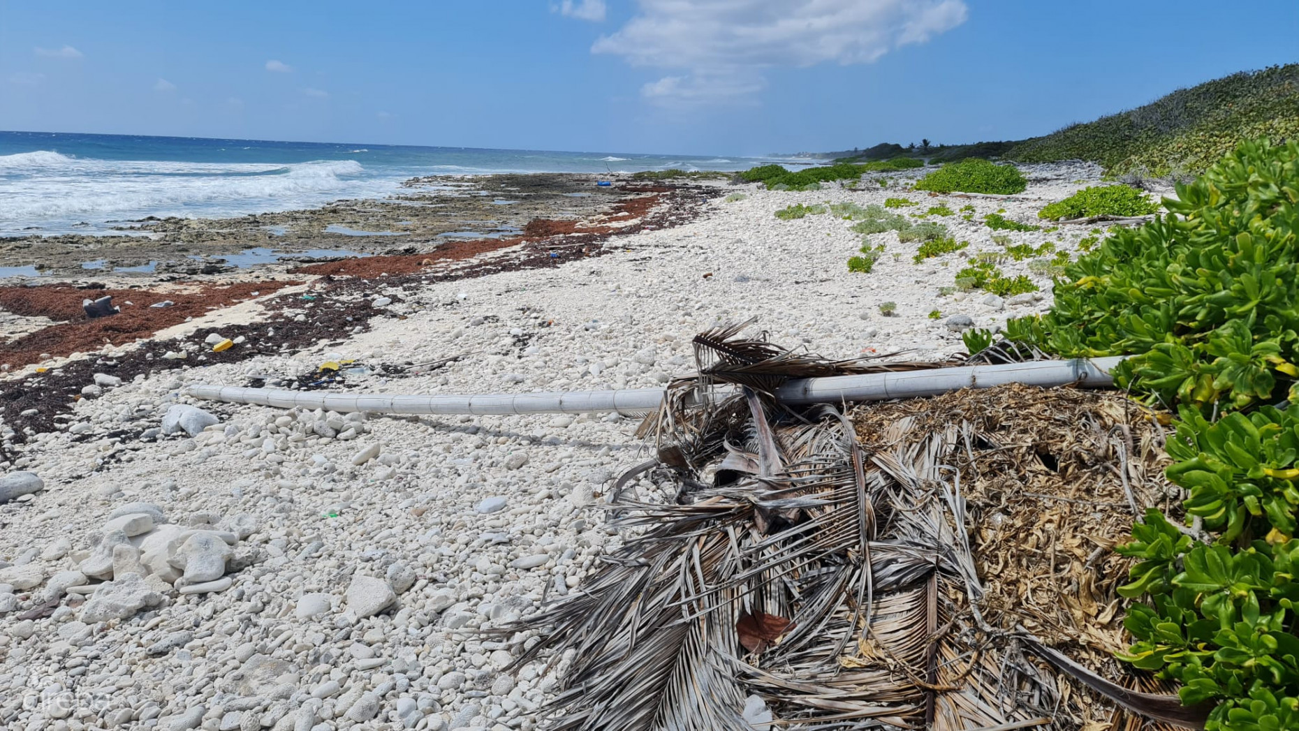 CAYMAN BRAC EAST OCEANFRONT 1.25 ACRES