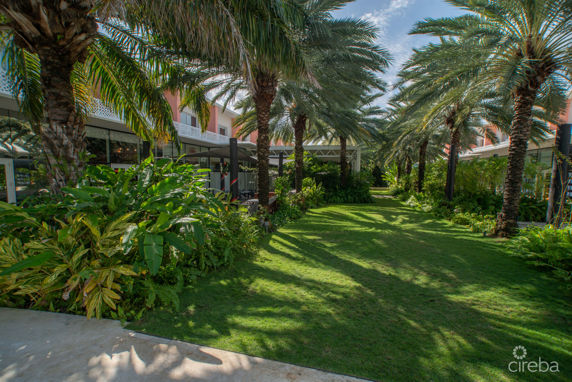 VILLA ZEN | CONTEMPORARY ISLAND LIVING AT THE GROVE