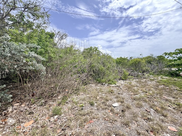 LARGE BEACHFRONT LOT - RUM POINT DRIVE - PERFECT ESTATE PARCEL
