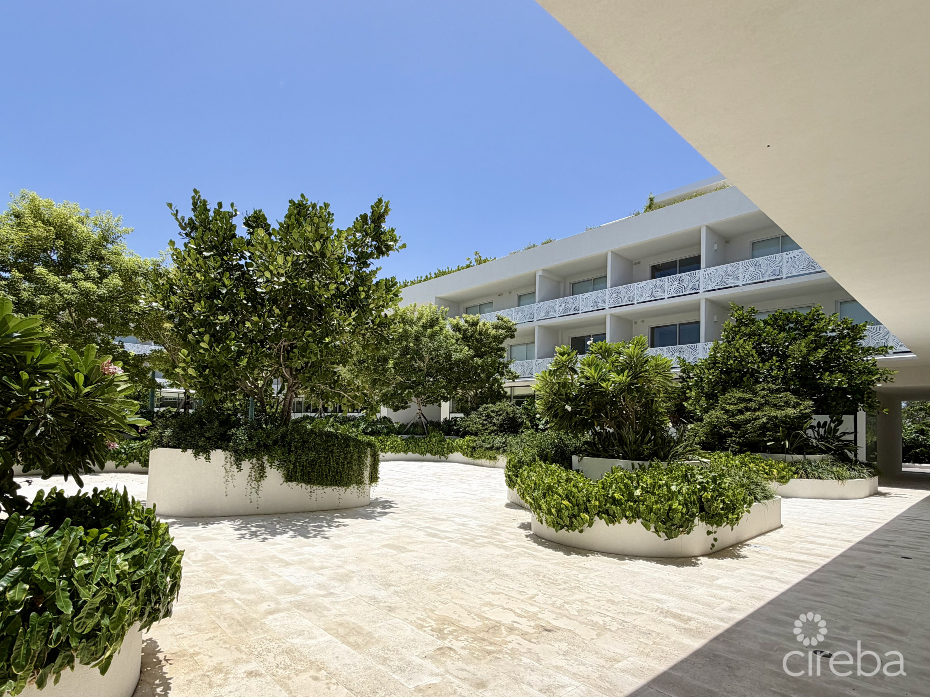 GROVE TOO  COMMERCIAL OFFICE SPACE - RARE CORNER LOCATION