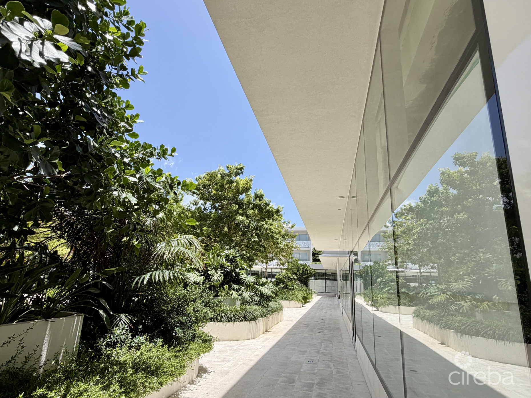 GROVE TOO  COMMERCIAL OFFICE SPACE - RARE CORNER LOCATION