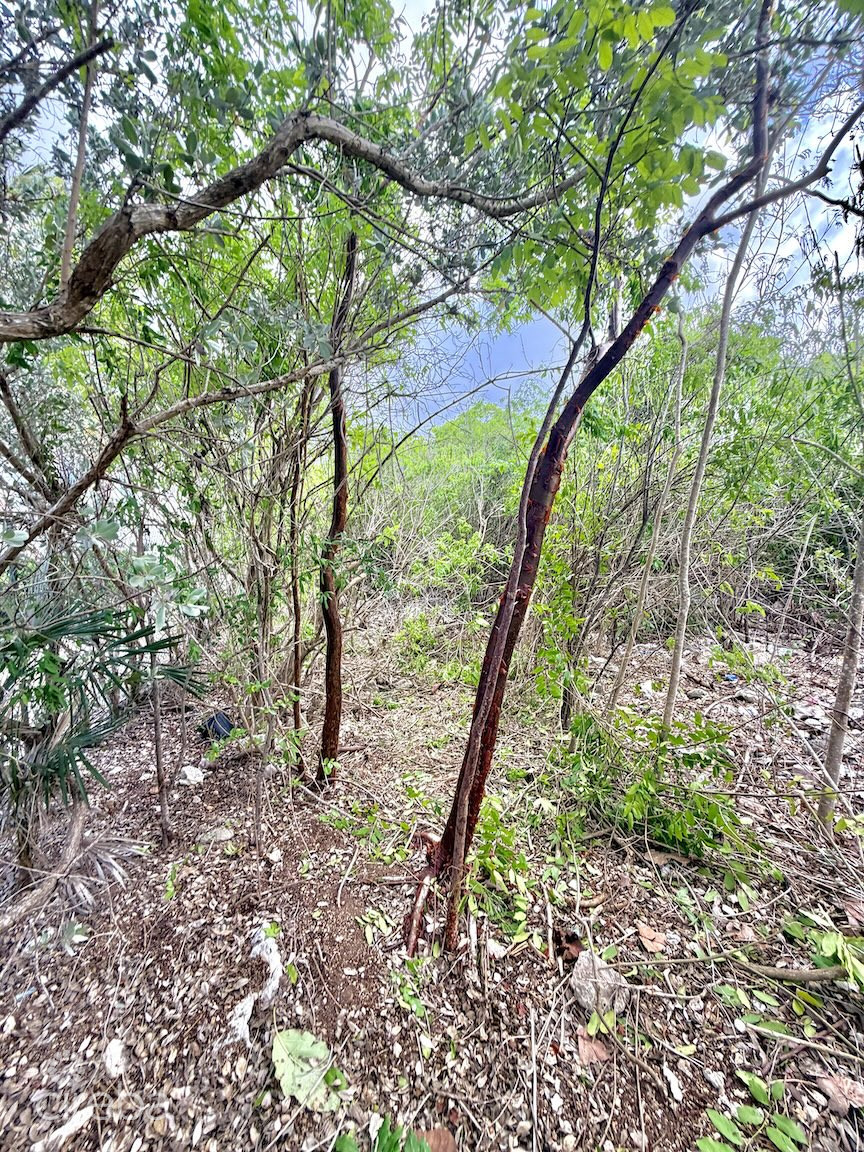 LARGE BEACHFRONT LOT - RUM POINT DRIVE - PERFECT ESTATE PARCEL