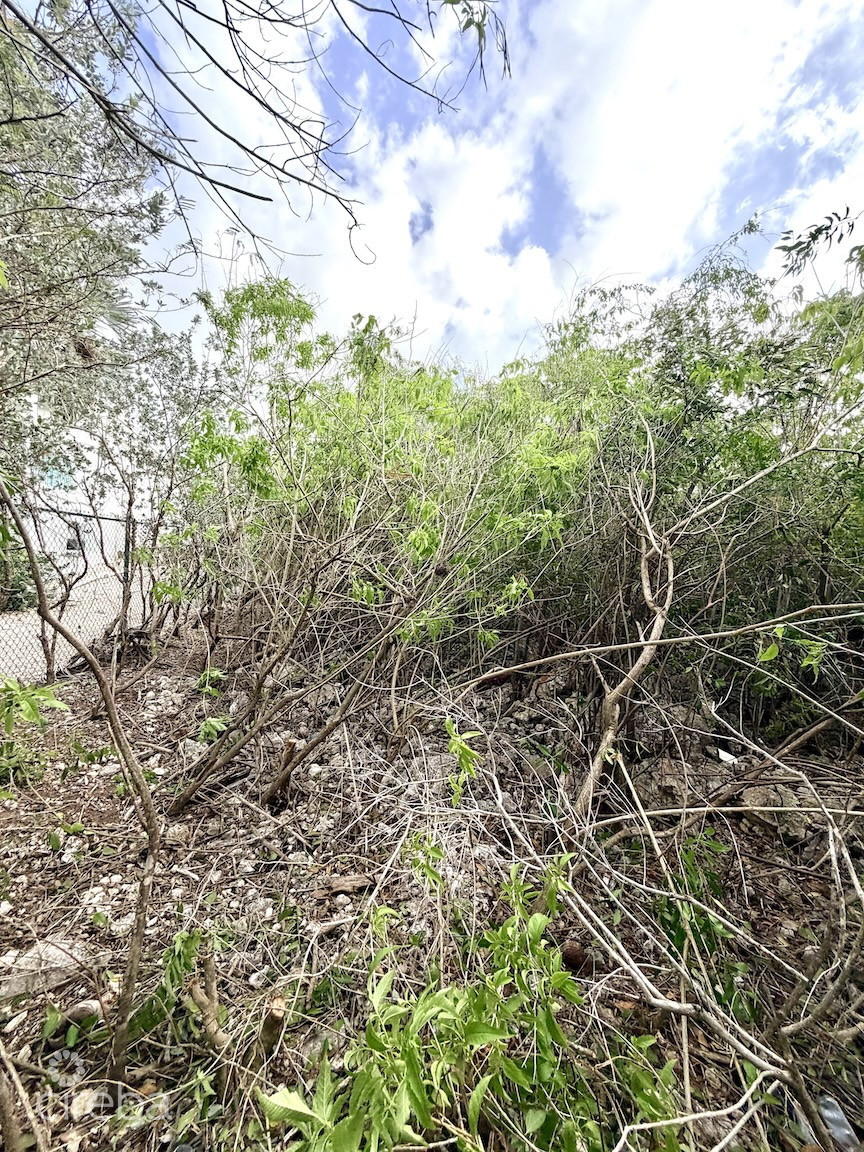 LARGE BEACHFRONT LOT - RUM POINT DRIVE - PERFECT ESTATE PARCEL