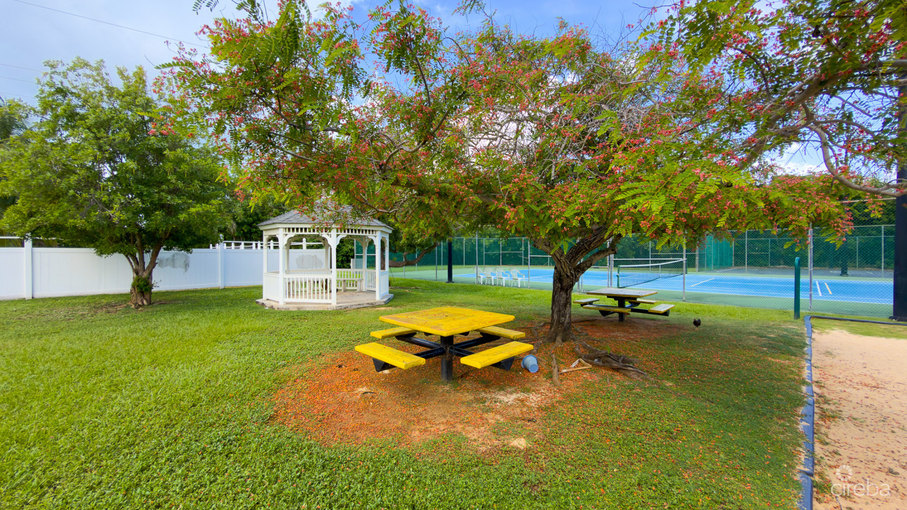 SNUG HARBOUR ANDREW DRIVE - 4 BEDROOM FAMILY HOME IN THE SEVEN MILE BEACH CORRIDOR