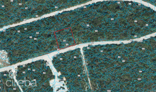 CAYMAN BRAC BLUFF LOT (0.2874 ACRE)