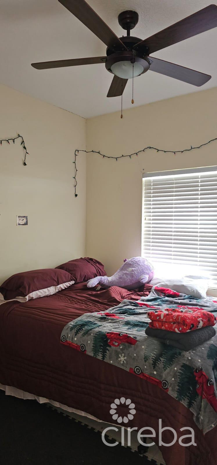 DUPLEX INVESTMENT PROPERTY - AURORA DRIVE, WEST BAY