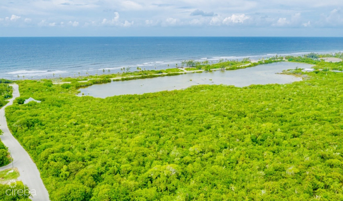 ALEXANDER GROVE SUBDIVISION - CAYMAN BRAC - LOT1
