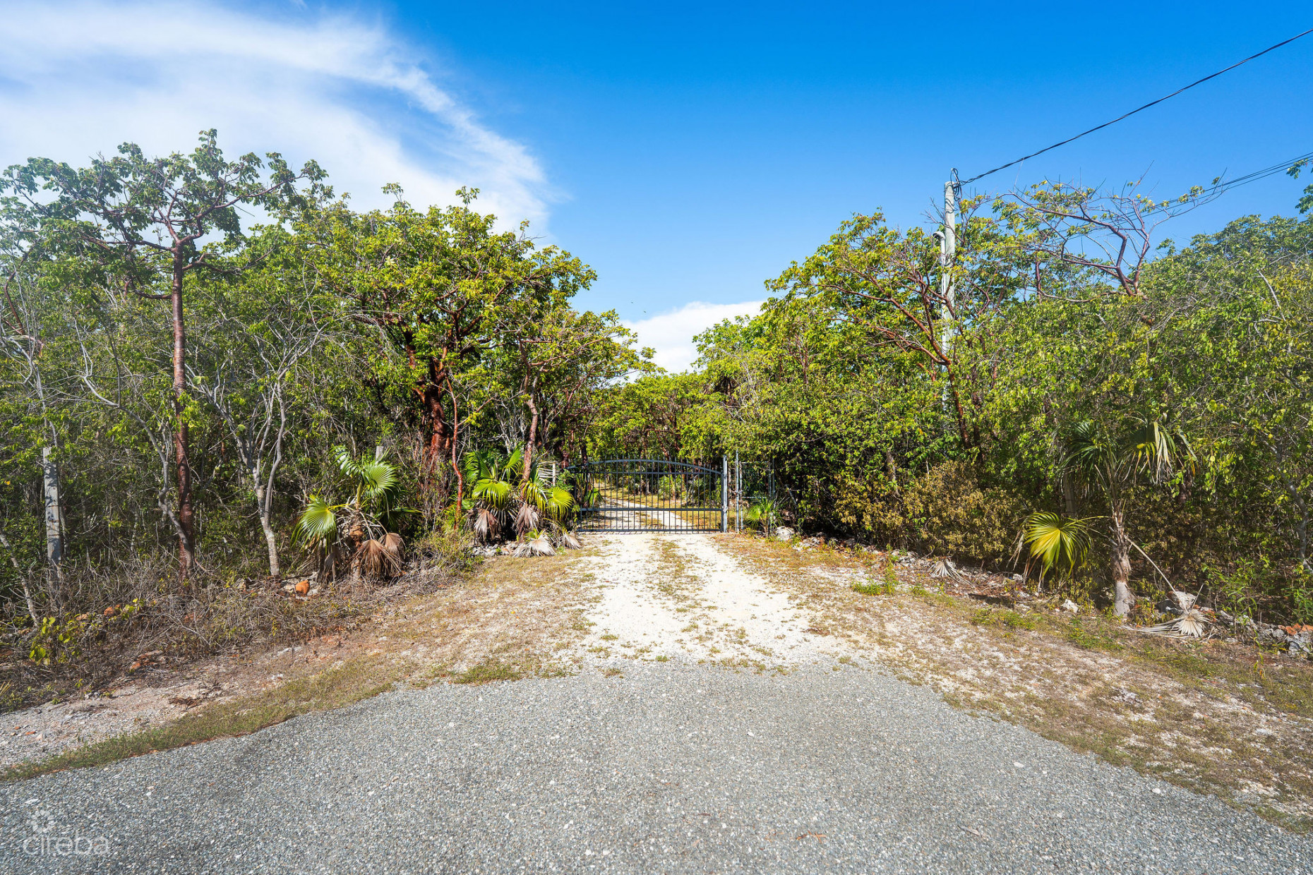 CAYMAN ENCHANTED FOREST | 9.93-ACRE PARCEL IN EAST END