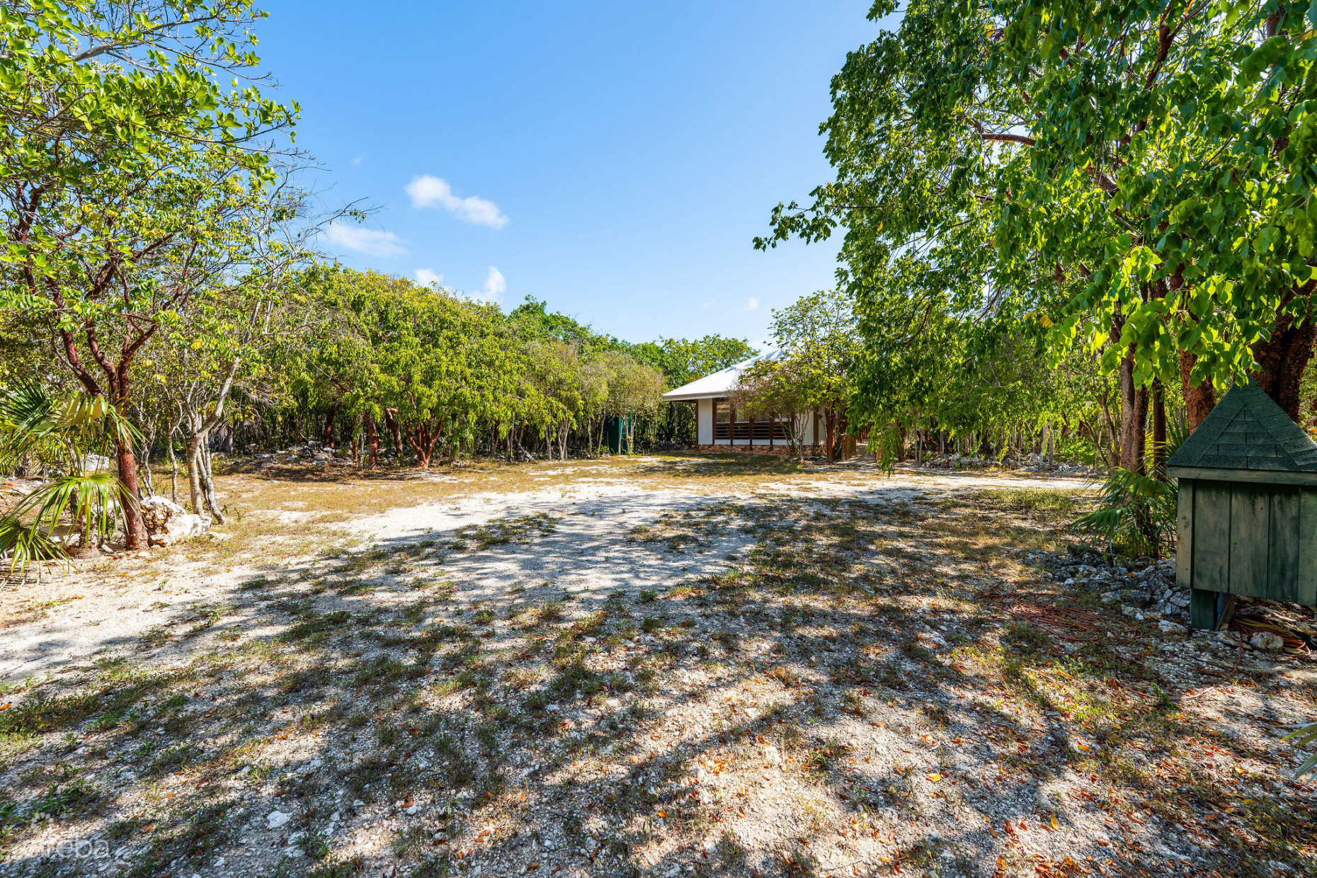 CAYMAN ENCHANTED FOREST | 9.93-ACRE PARCEL IN EAST END