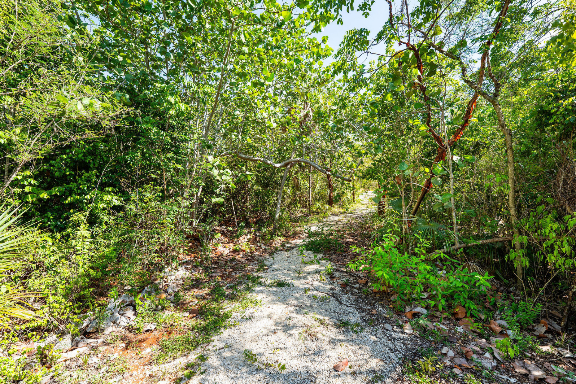 CAYMAN ENCHANTED FOREST | 9.93-ACRE PARCEL IN EAST END