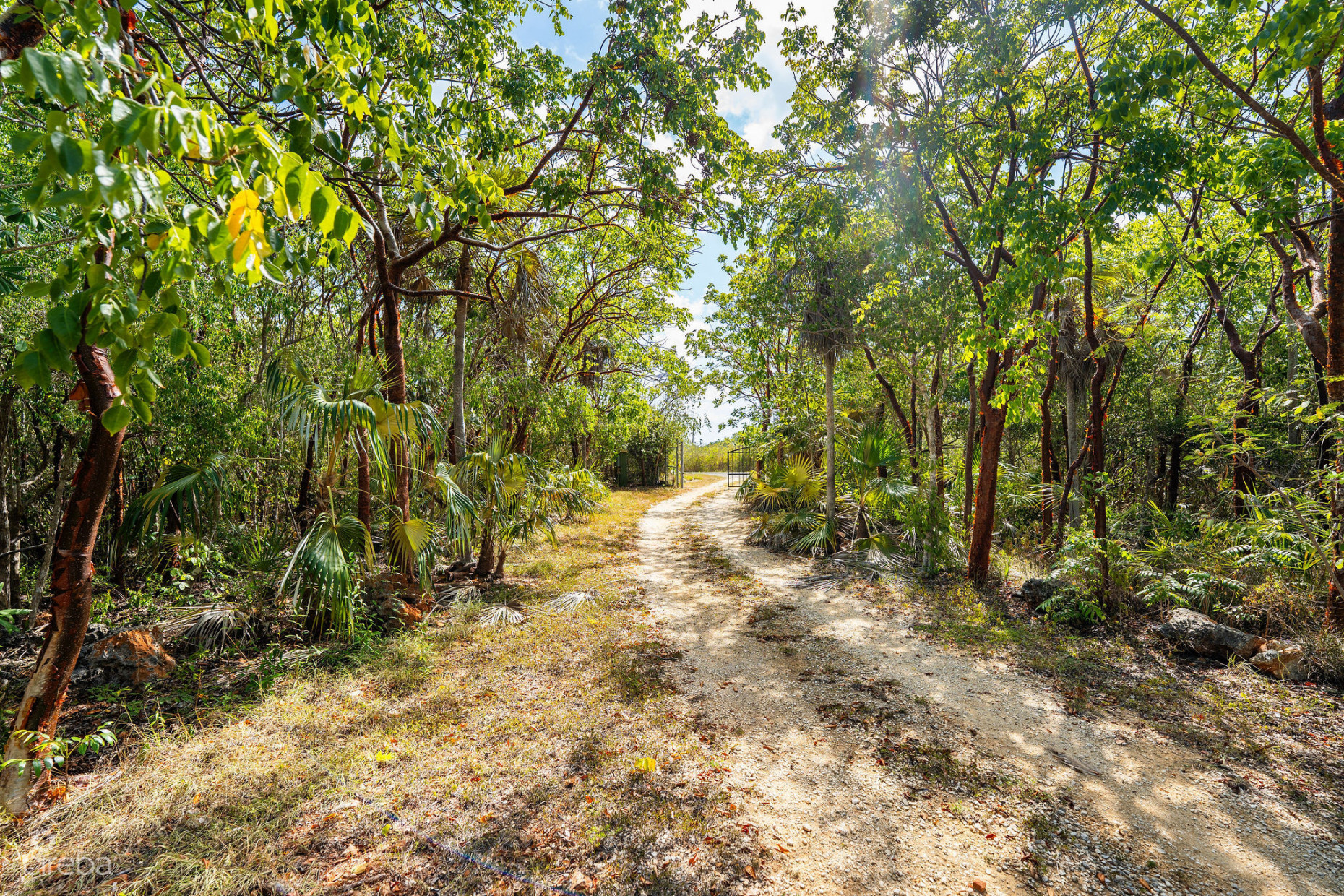 CAYMAN ENCHANTED FOREST | 9.93-ACRE PARCEL IN EAST END