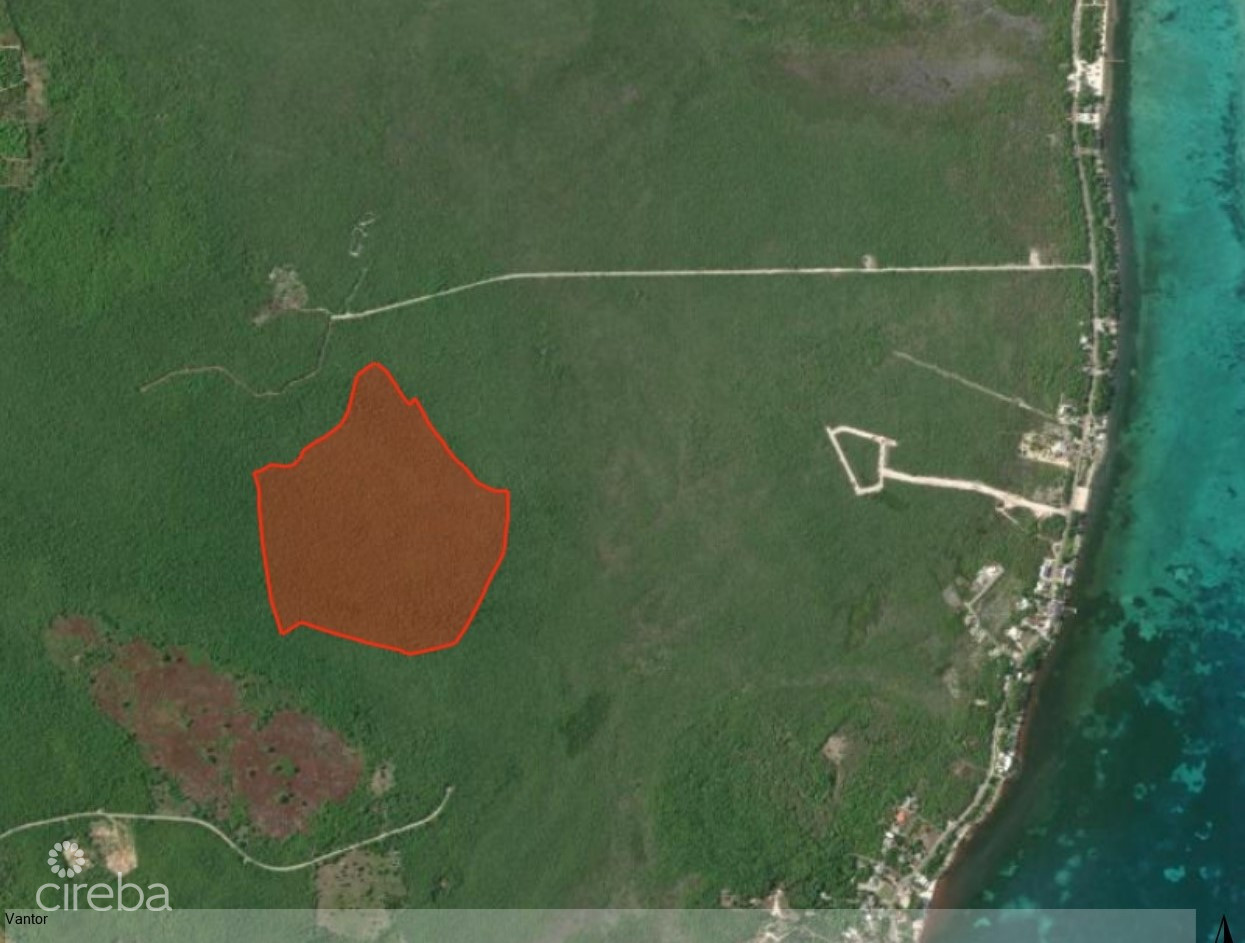 78 ACRES - COLLIERS