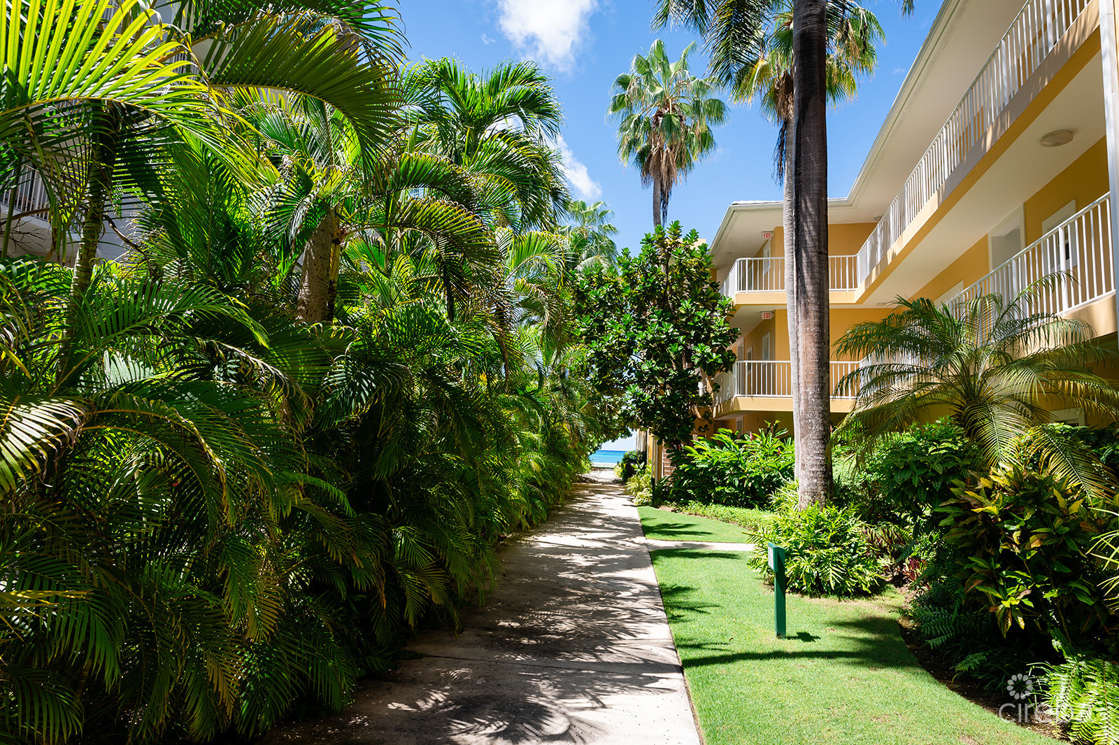 REGAL BEACH CLUB #124