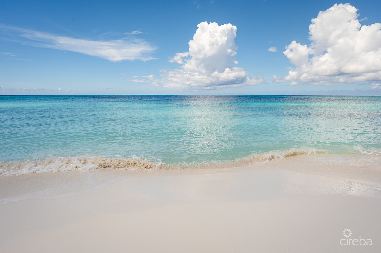 REGAL BEACH CLUB #124