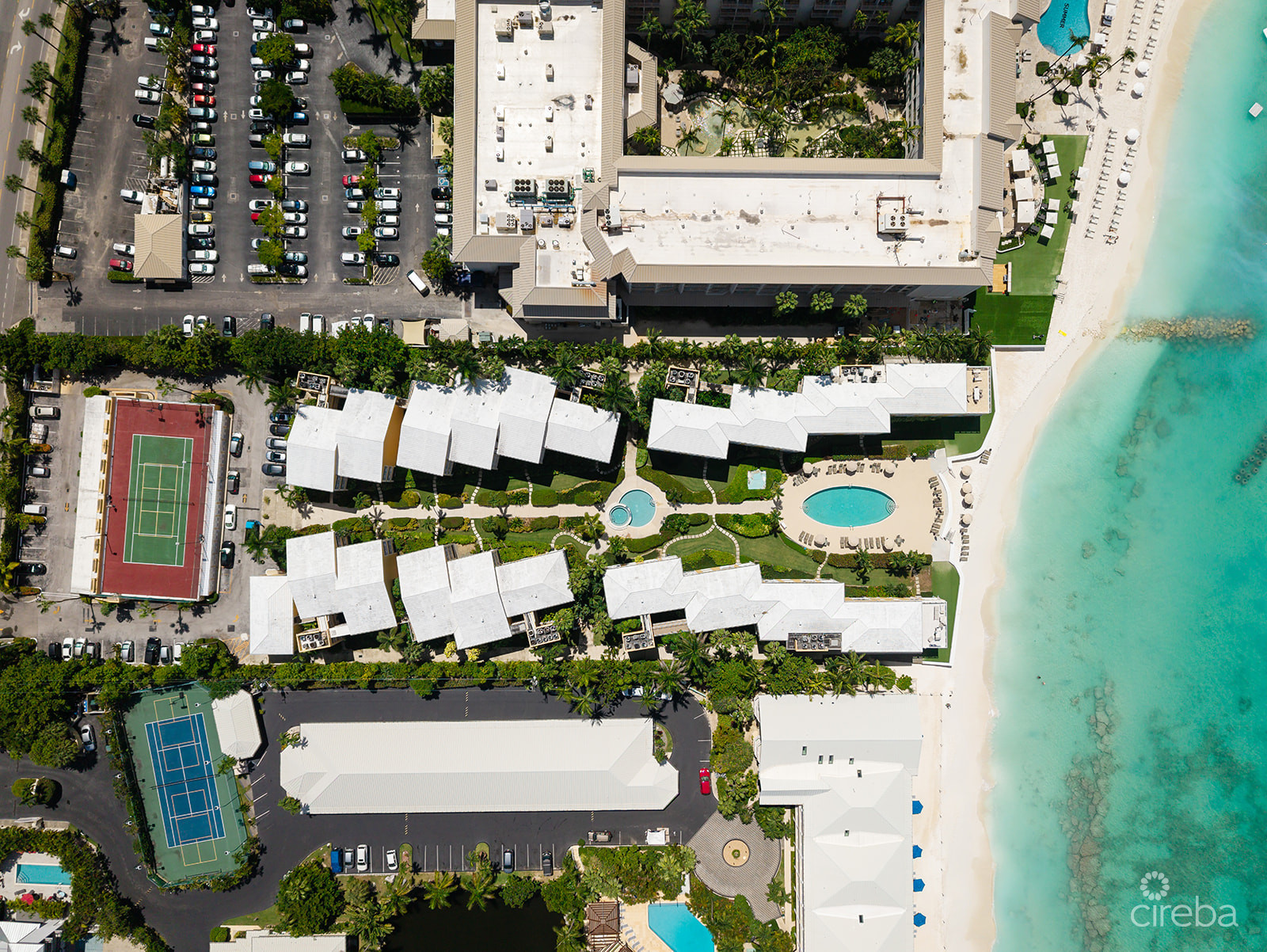 REGAL BEACH CLUB #124