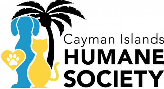 Humane Society Beach Days