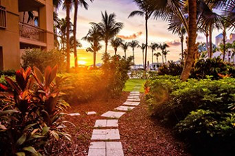 RITZ-CARLTON RESIDENCE #102 | 410277