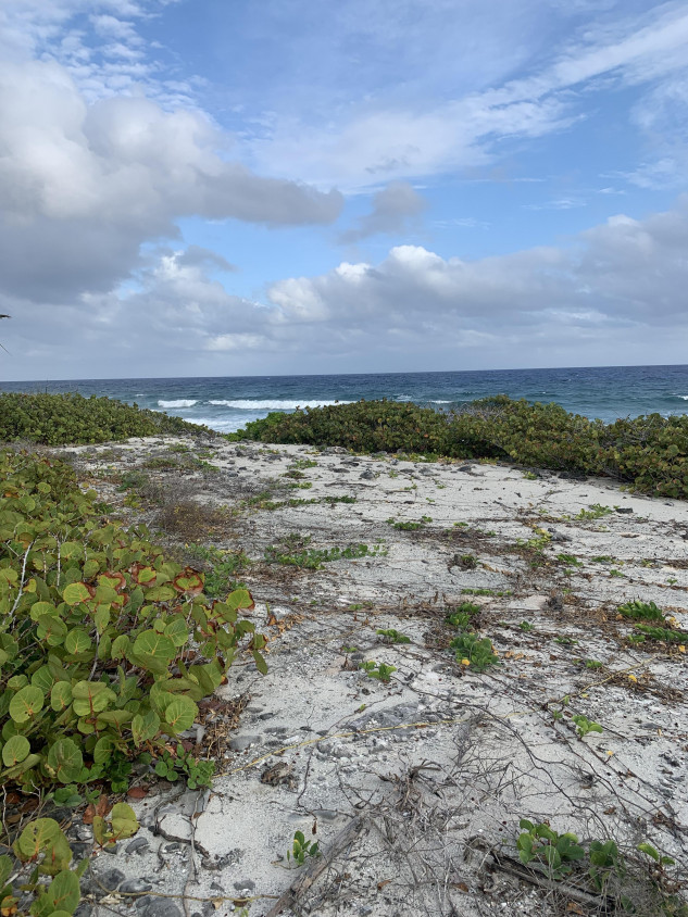SOUTH SIDE OCEAN FRONT LAND