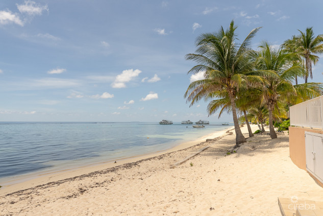 WINTERHAVEN BEACHFRONT 3 BED