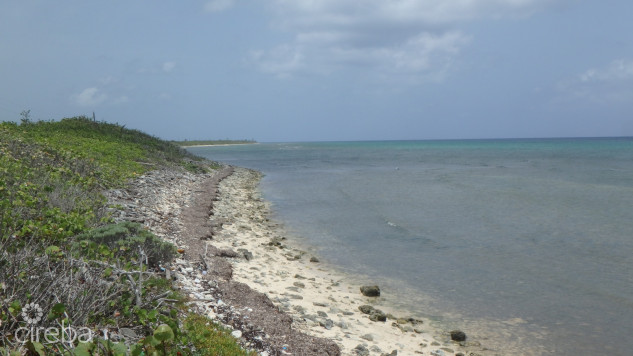 LITTLE CAYMAN NORTH SIDE OCEAN FRONT LAND